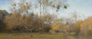  Alamo Creek Sycamores, Midday Oil on Canvas, 2013, 15" x 40"