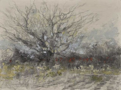 Luck's Farm, Fruit Tree Graphite and Encaustic 12 x 16 inches 2015