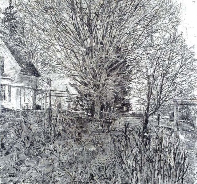 Front Yard, Leeds, MA, 2001-02 , pencil, 42” x 43”, Collection of Cyrus and Myrtle Katzen